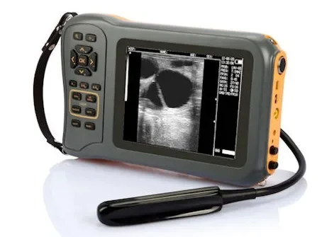 Farmscan L60 النخيل المحمولة ايكوغرافو المحمولة للحيوانات الكبيرة البقري الخيول زرع الخنزير الطبيب البيطري آلة الموجات فوق الصوتية المحمولة