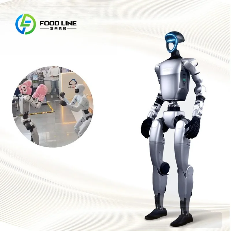 Edu Advanced Smart Robot Artificial Intelligence AI Humanoid Manufacturing Silver Customized custom stickers Basic Model