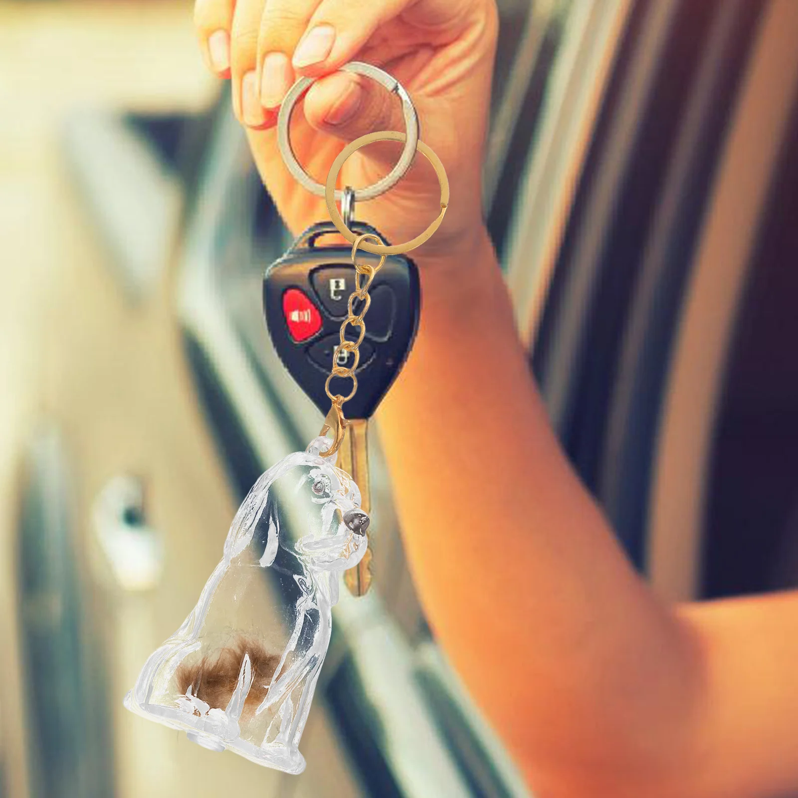 

2Pcs Pet Hair Storage Box Transparent Keepsake Keychain Dog Hair Memorial Container Portable Organizer Pet Remembrance Souvenir