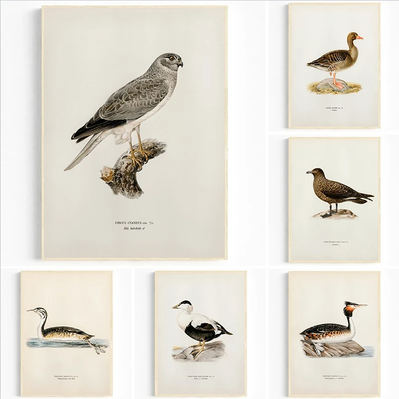 الكلاسيكية مجردة الطيور نوع عرض الحياة البرية قماش الملصقات الغابات صور فنية للجدران لغرفة المعيشة غرفة نوم نادي ديكور المنزل الحديث #2