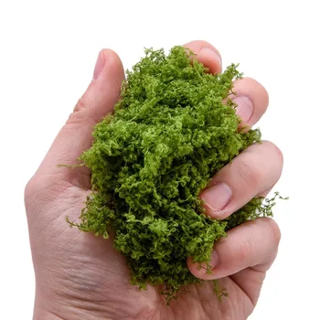 25g/Bag Simulation Vegetation Bush Cluster Vine Plants Materials Model DIY Military Sand Table Scene Layout Diorama Kits Toy