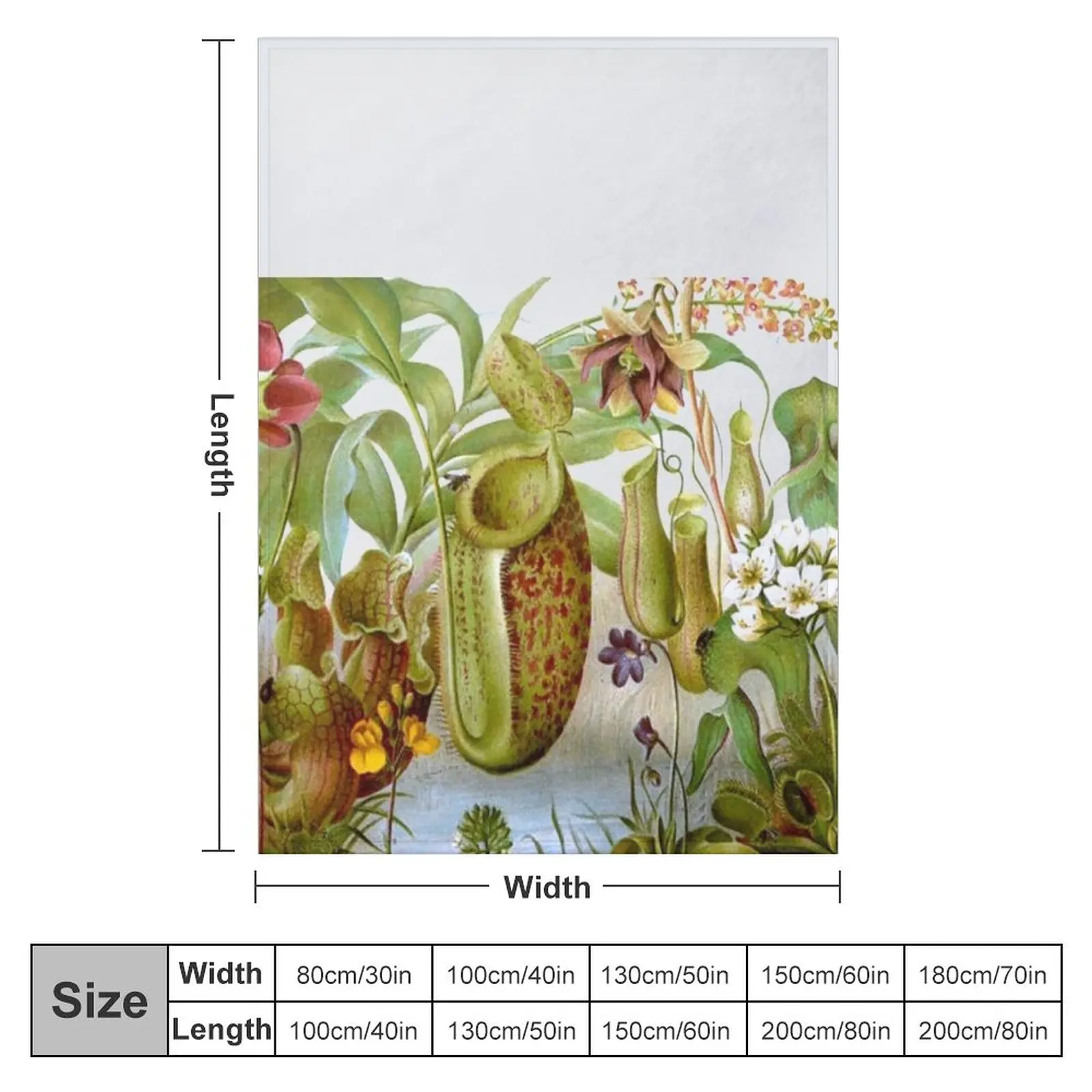 Vintage Carnivorous Plant Illustration Throw Blanket Picnic Blanket For Sofa Thin Dorm Room Essentials Designer Blankets