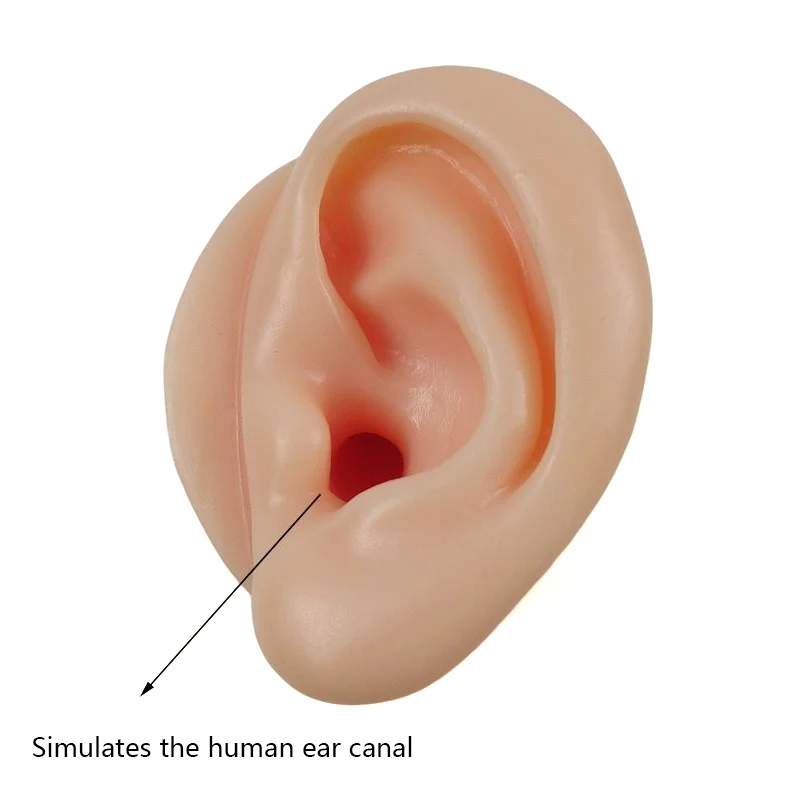 1/2Pcs Ear Model Ear Picking Model Teaching Dedicated Long Ear Canal Simulation Silicone Deep Ear Canal Ear Picking Practice