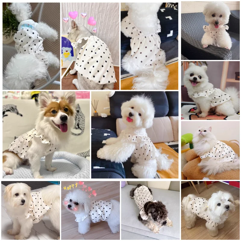 Fashion Pet Dog Dress Dot Dog Clothes Summer Puppy Skirt Chihuahua Yorkie Bichon Clothing Suspender Girl Dog Costume Cat Dresses