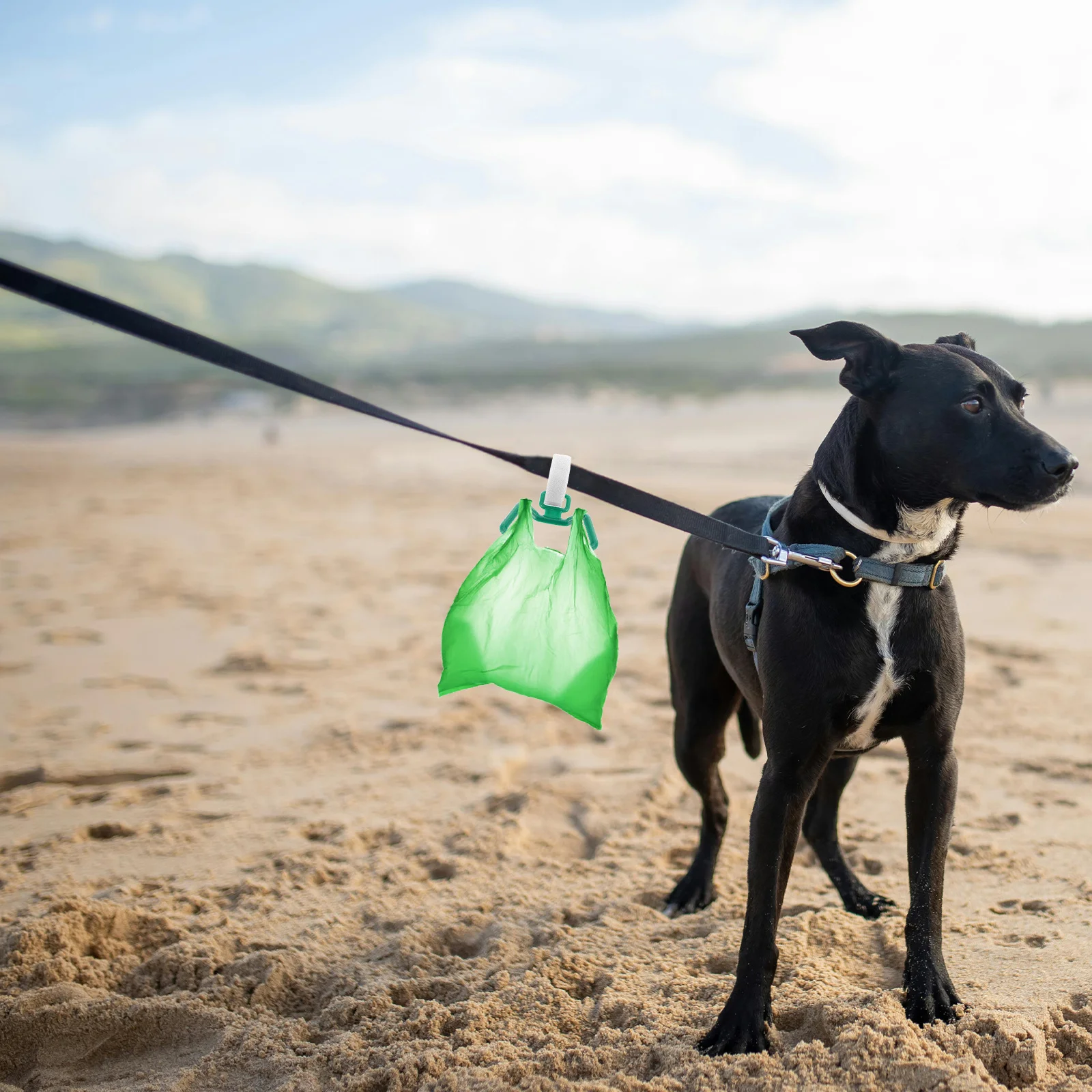 

5Pcs Compact Dog Waste Bag Holder Leash Clip for Effortless Poop Bag Dispensing Leash Clips Doggy Poop Bags Holder