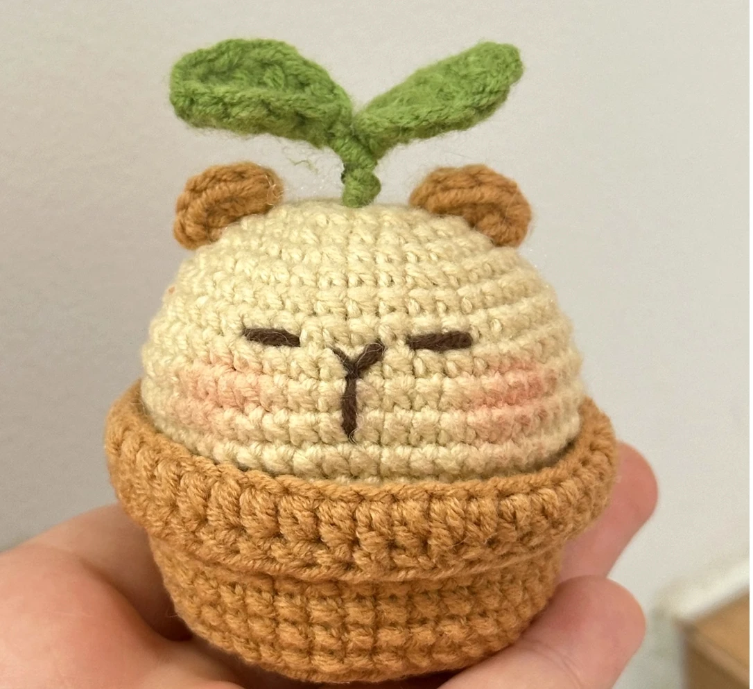 

DIY crocheted capibala potted ornaments wool knitting material package capybara handmade creative desktop gift for women