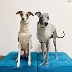 Chaleco de punto cálido para mascotas, chaqueta de cuello alto para perros pequeños y medianos, ropa de Galgo Italiano, suéter Whippet