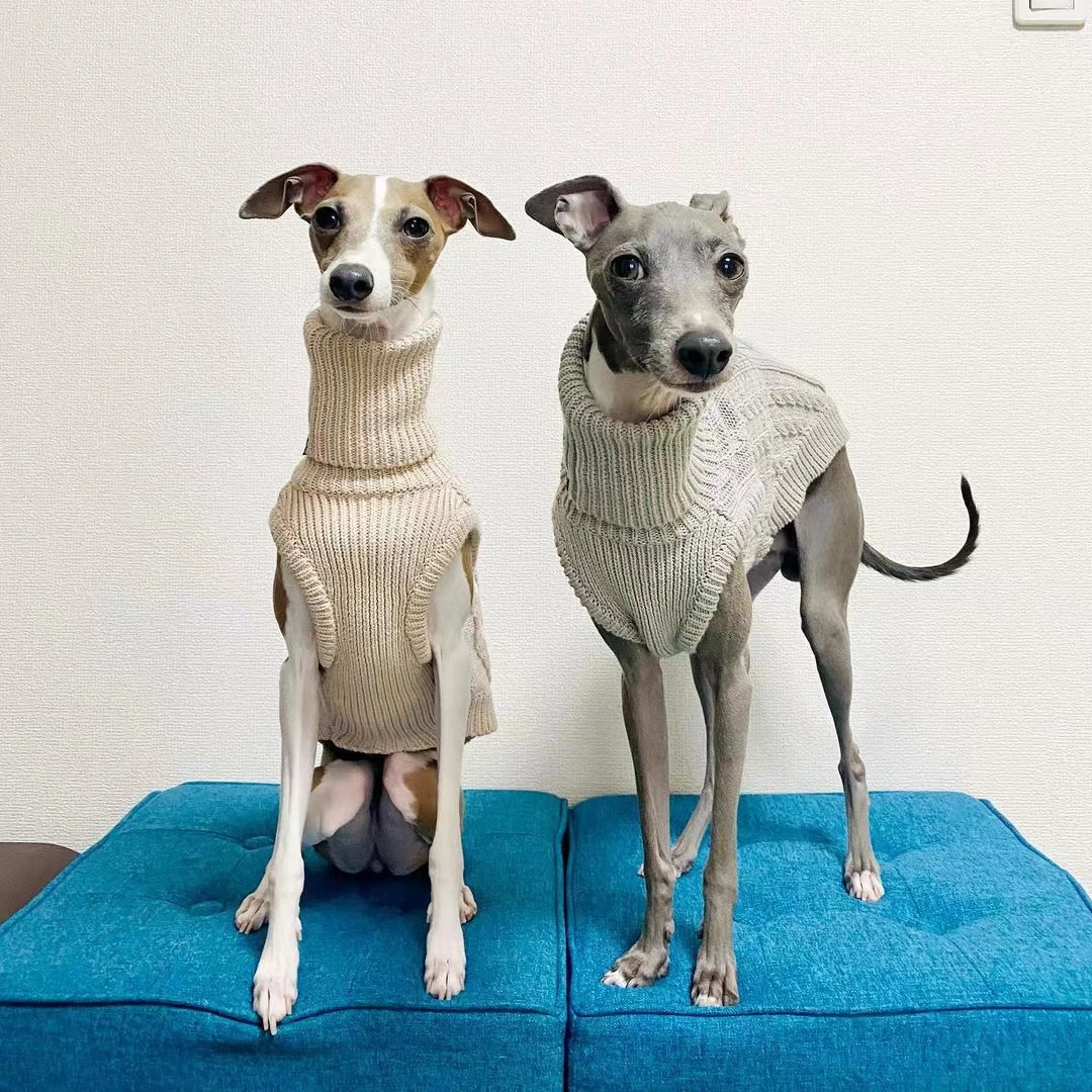 Warm Pet Knit Vest Turtleneck Dog Jacket for Small Medium Size Clothes Italian Greyhound Whippet Sweater