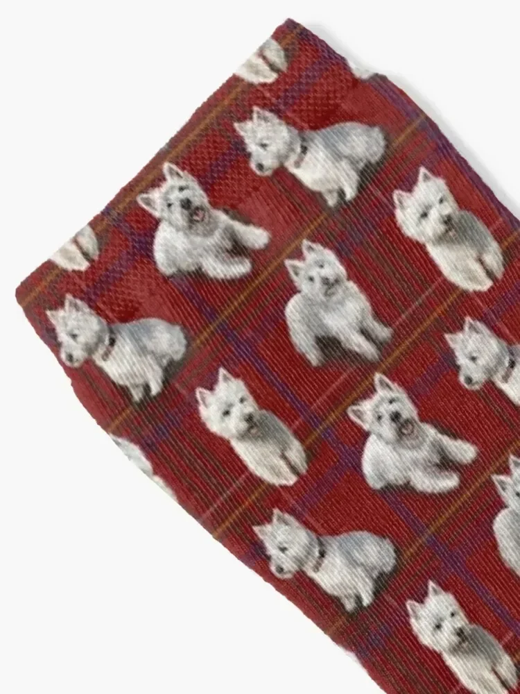 West Highland Terrier Westie Socks set Novelties essential Men Socks Women's