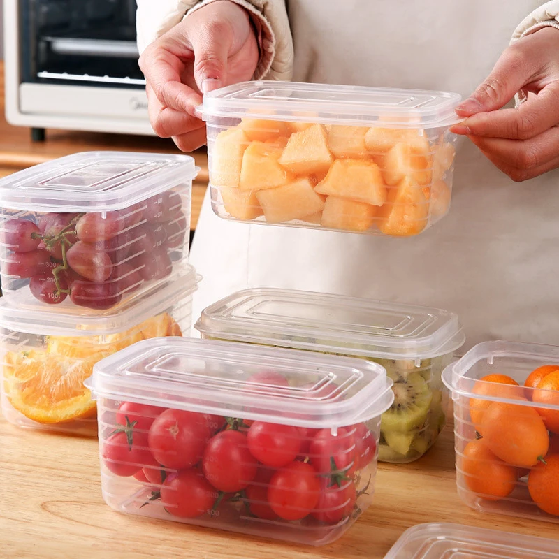 Refrigerator Food Storage Box Mini Portable Kitchen Meat Sealed Fresh-keeping Box Fridge Kitchen Organizer Containers