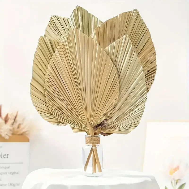 

3pcs/Set Palm Fan Leaves Dried Flowers Mini Palm Leaves In Different Shapes Pampas Grass Branches DIY Home Decoration Wedding
