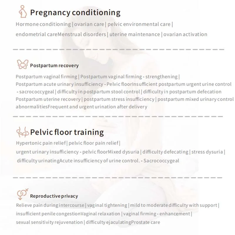 Pelvic Floor Magnetic Repair Urinary Leakage Private Firming Machine Postpartum Recovery Pelvic Floor Magnetic Therapy