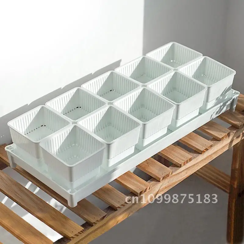 Горшок для суккулентов, кашпо для кактусов, кашпо для бонсай с отверстием, пластиковый цветочный горшок Lithops с дренажным поддоном, коробка для оконных растений