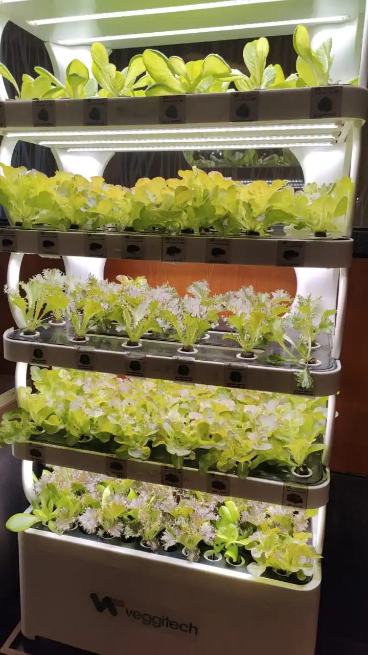 زارع أنظمة النمو المائية زارع داخلي ذكي حديقة المنزل نباتات المزرعة ذكي ذكي #5