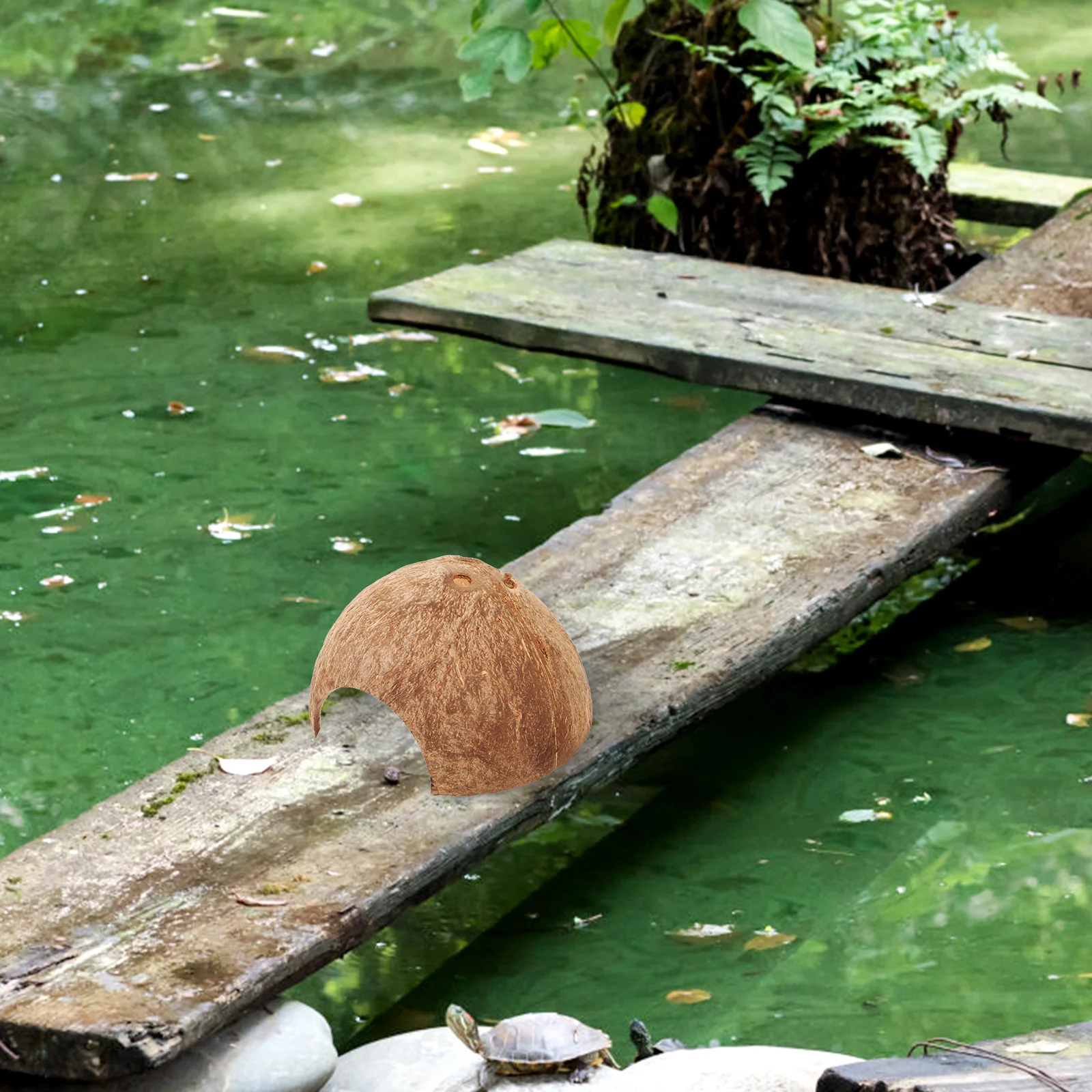 

Coconuts Shell Hideout Natural Reptile Shelter Turtle Lizard Snail Tunnel Hermit Crab Supplies Tarantula Enclosure Accessories