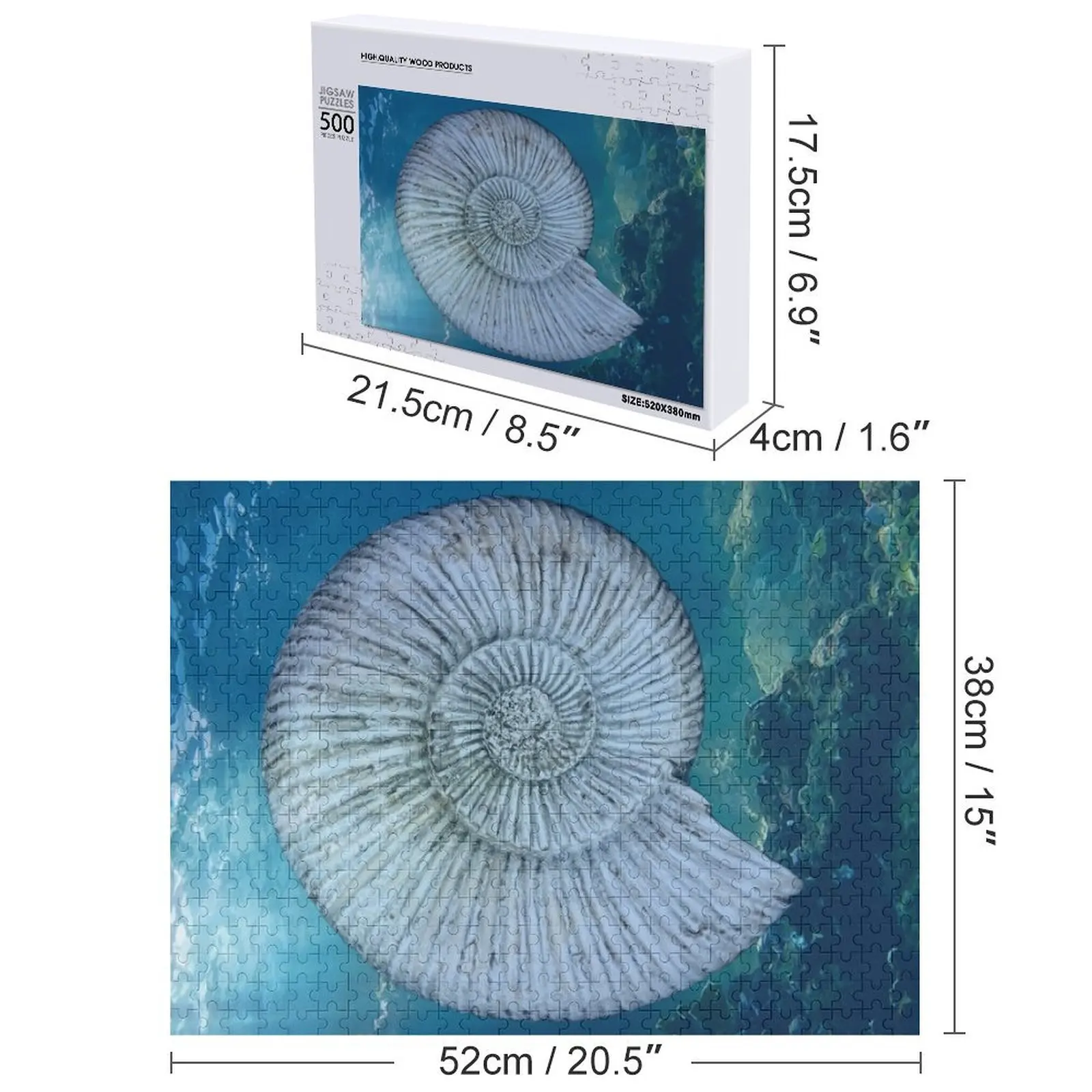 化石アンモナイト ジグソーパズル パーソナライズされた子供向けギフト パーソナライズされたおもちゃ 写真カスタムパズル