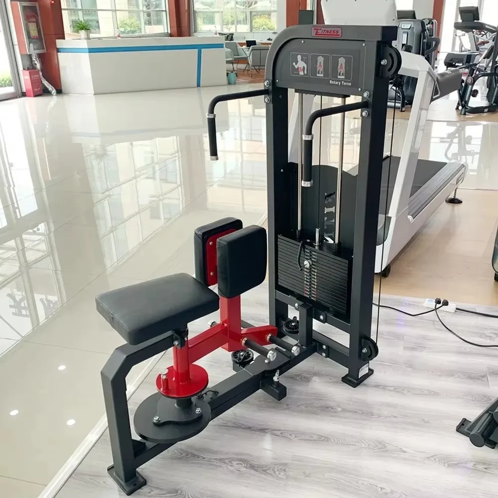 Strength Training Gym Exercise Equipment Rotary Torso Machine For Sale