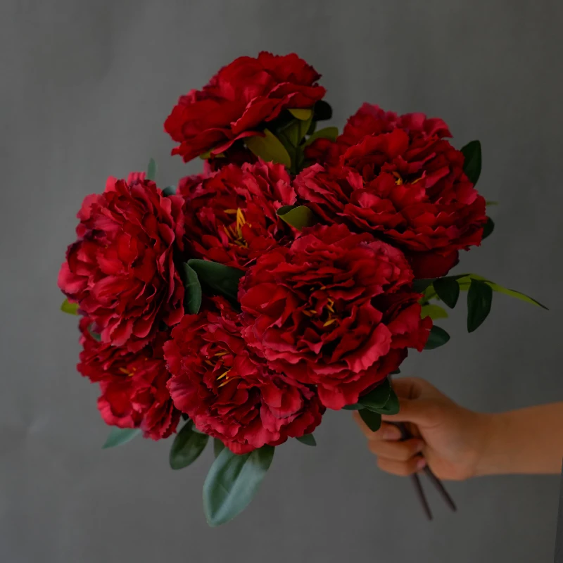 yZ[z[YsNԃVNOԉԑ 5 rbOwbhiԉƒp̑