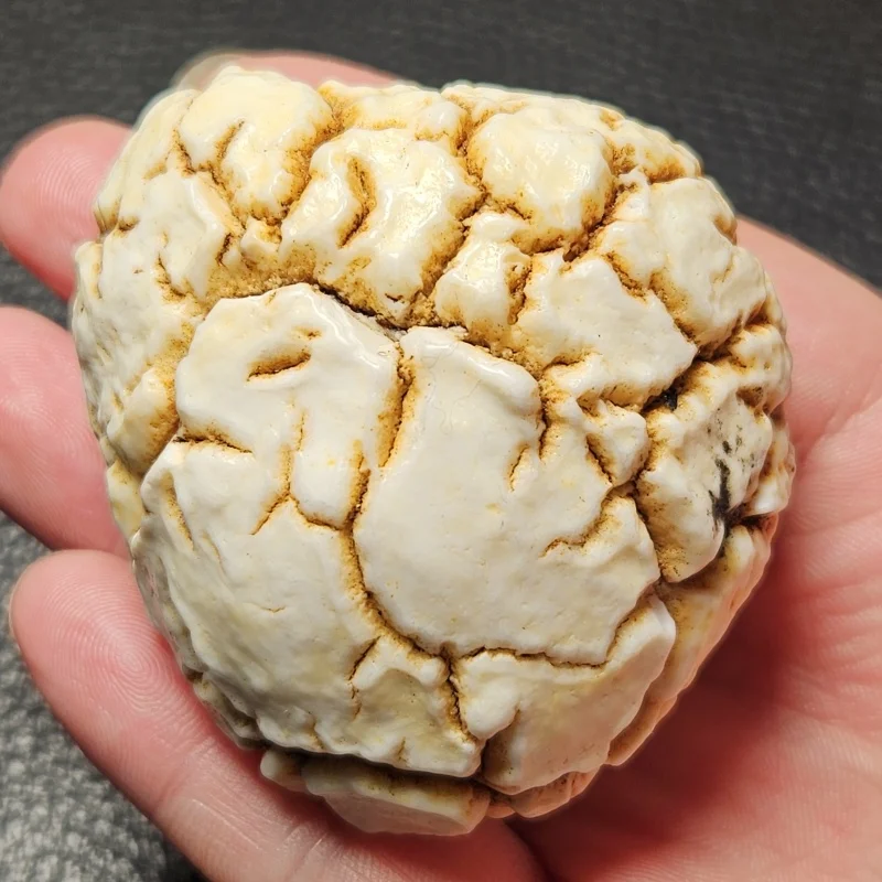 

White Natural Inner Mongolia Opal Mineral Specimen Palm Toy Home Decorations +Supporting Frame