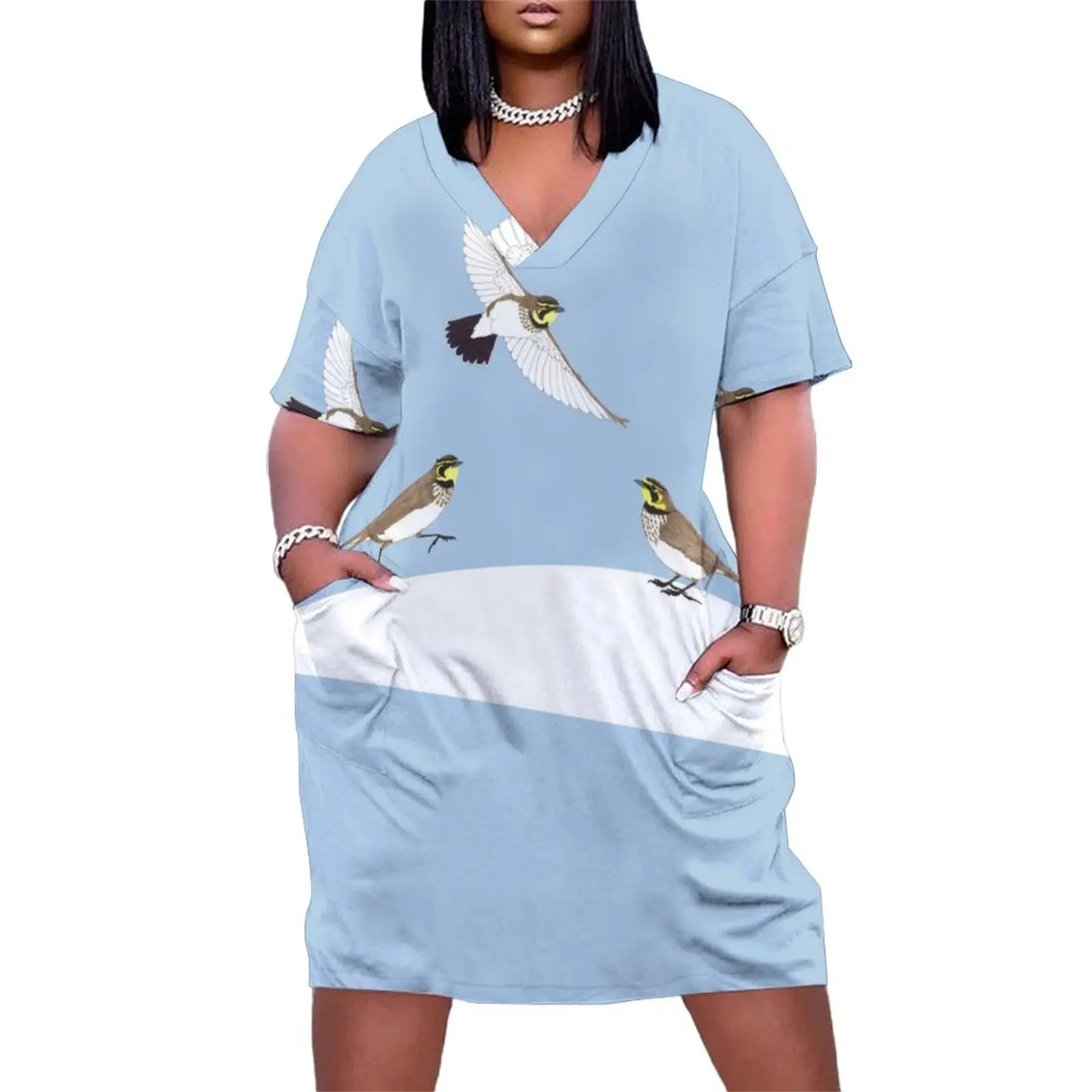 

Trio of Horned Larks in the snow Loose Pocket Dress dresses for women Dresses for wedding party Dress for pregnant women