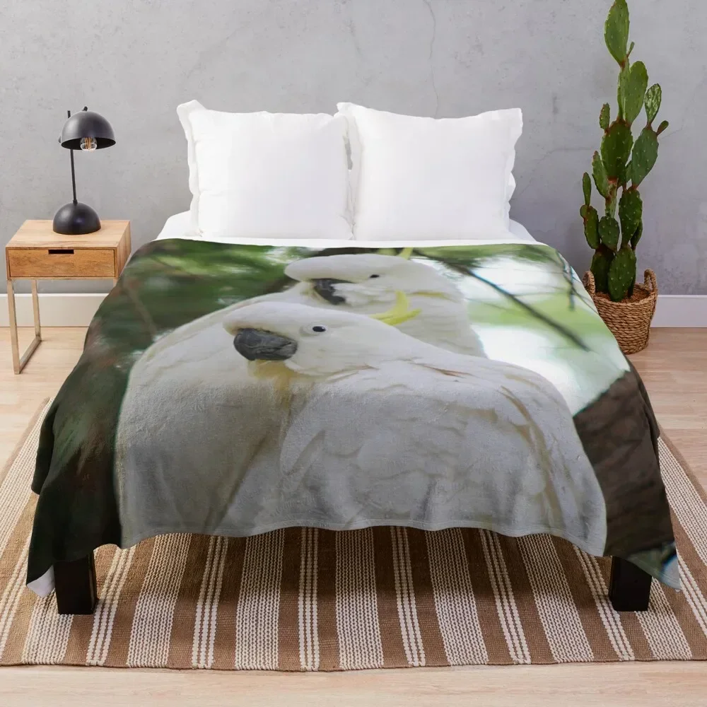 Sulphur Crested Cockatoos in Sydney Throw Blanket Stuffeds Soft Plush Plaid Thins Sofas Blankets