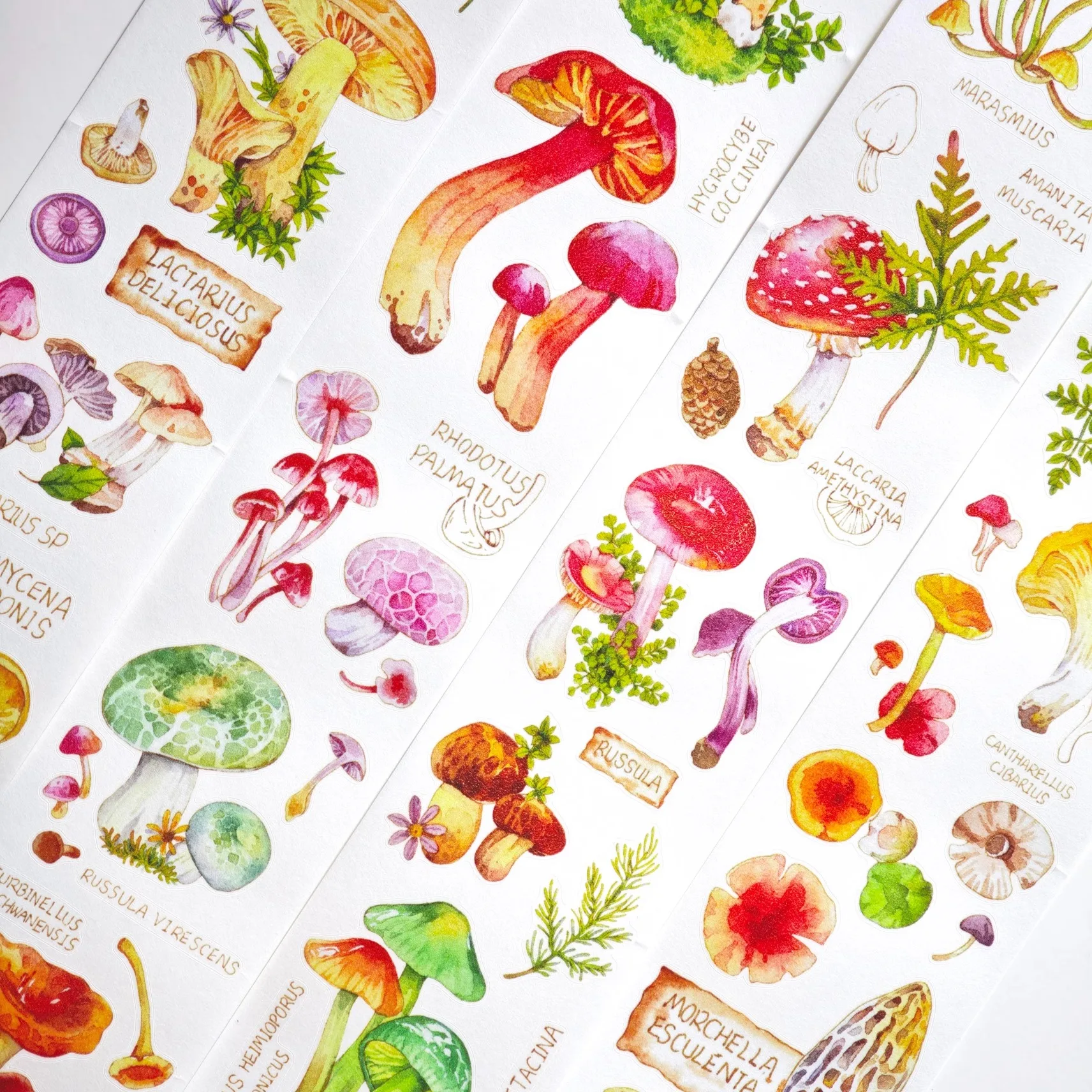 

Washi Pet Tape Mushroom Plant Die Cut Sticker Watercolor Hand-painted