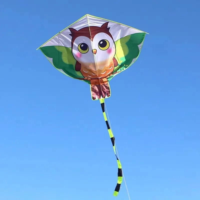 Cerf-volant en tissu nylon ripstop pour enfant, jouet avec ligne de poignée, jeu de plein air, livraison gratuite