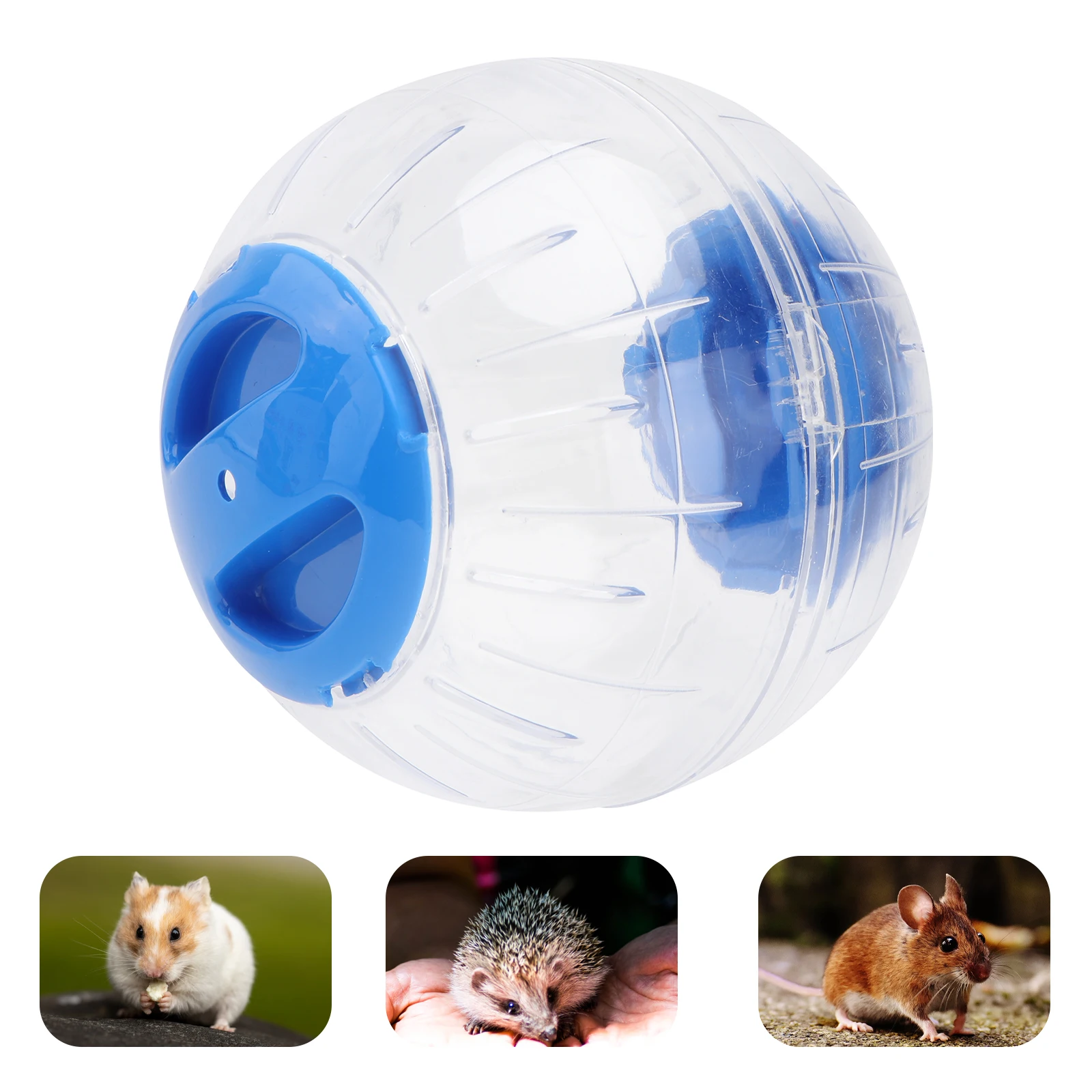 

Transparent Blue Hamster Exercise Ball Mini Compact Plastic Portable Exercise Wheel for Small Pets Gerbils Mice Healthy Activity