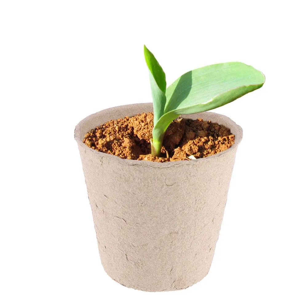 

1Set Premium Lightweight Starter Pots Set for Succulents Cuttings Transplanting Biodegradable Plant Nursery Cups Gardening Pot