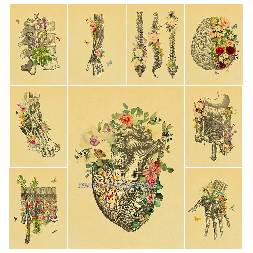 Anatomy Floral Heart Brain Organs Medical Poster Nostalgia Kraft Paper Poster Chambre Wall Art Pictures Printing Decoration