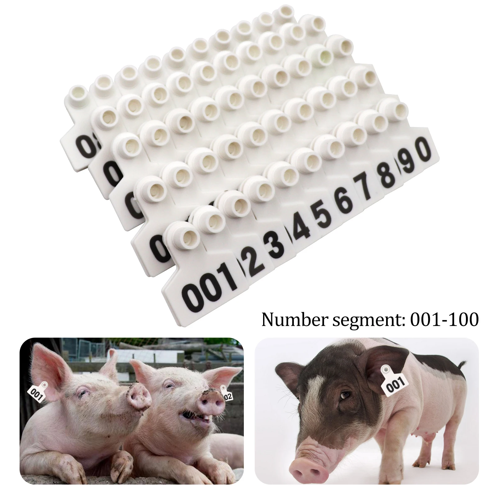 100Pcs Cow Pig Goat Ear Tags Animal Ear Tag Cards 001-100 3 Colors Digital Identification Farm Animal Livestock Feeding