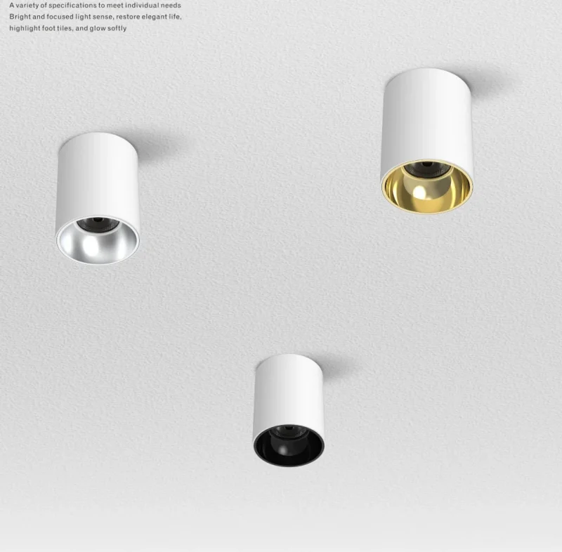 

IP65 Surface Mounted LED Downlight Ceiling Light CRI97 Matte Aluminum COB Chip Spot Light For Living Room Kitchen