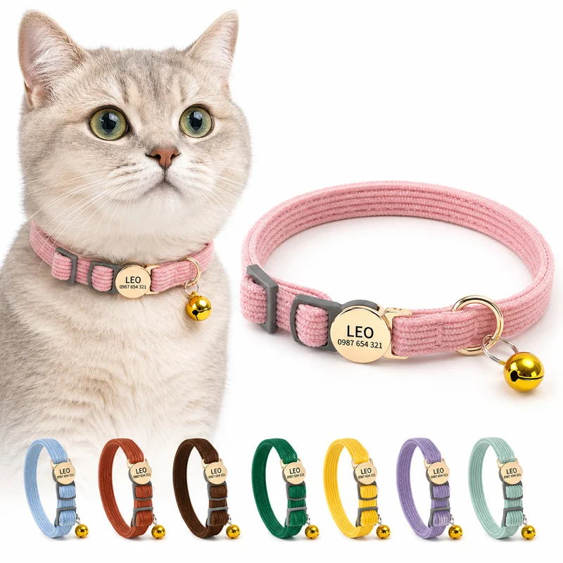 Collier pour chat personnalisé, avec puce d’identification gravée au laser, collier anti-perte, collier en velours côtelé doux pour chaton, avec boucle de sécurité à ouverture rapide.