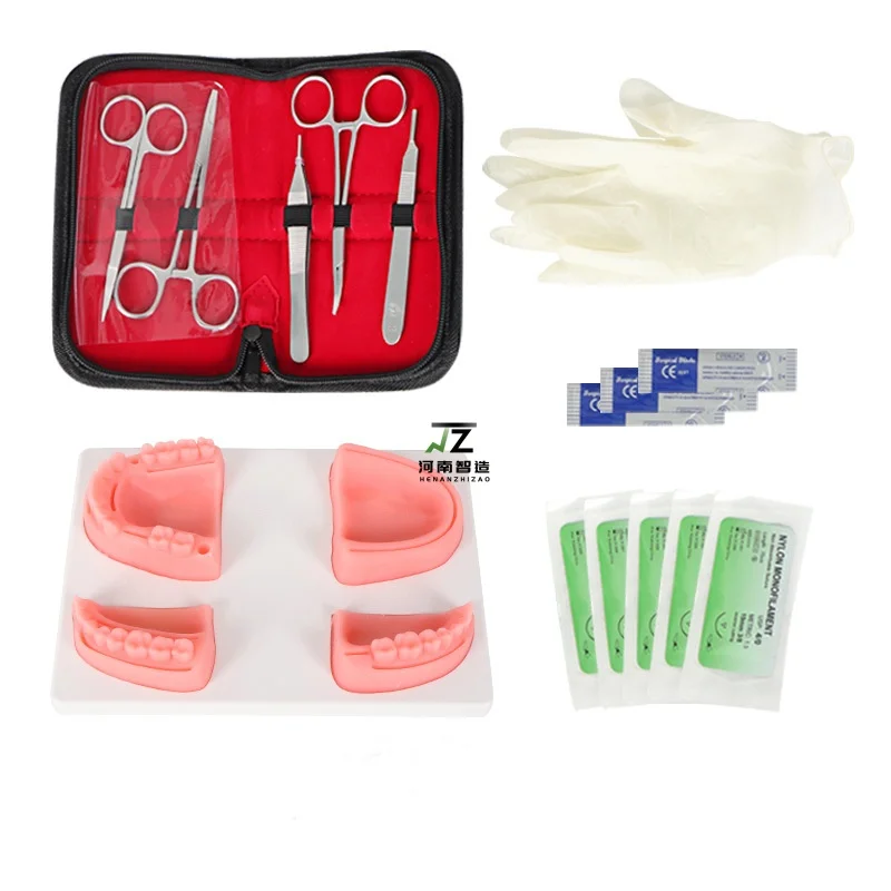 

Four teeth Suture Instrument set Oral Module Suture Training set Meat periodontitis gum suture exercise module