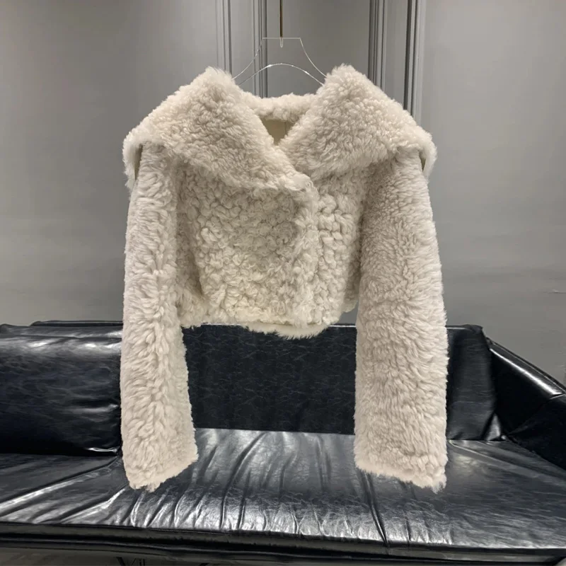 

2025 New Design Small Batch Lamb Fur Warm ort Coat Women's Faionable Collar up Top Commute Sle Straight Tube Polyester ...