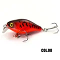 Col 08