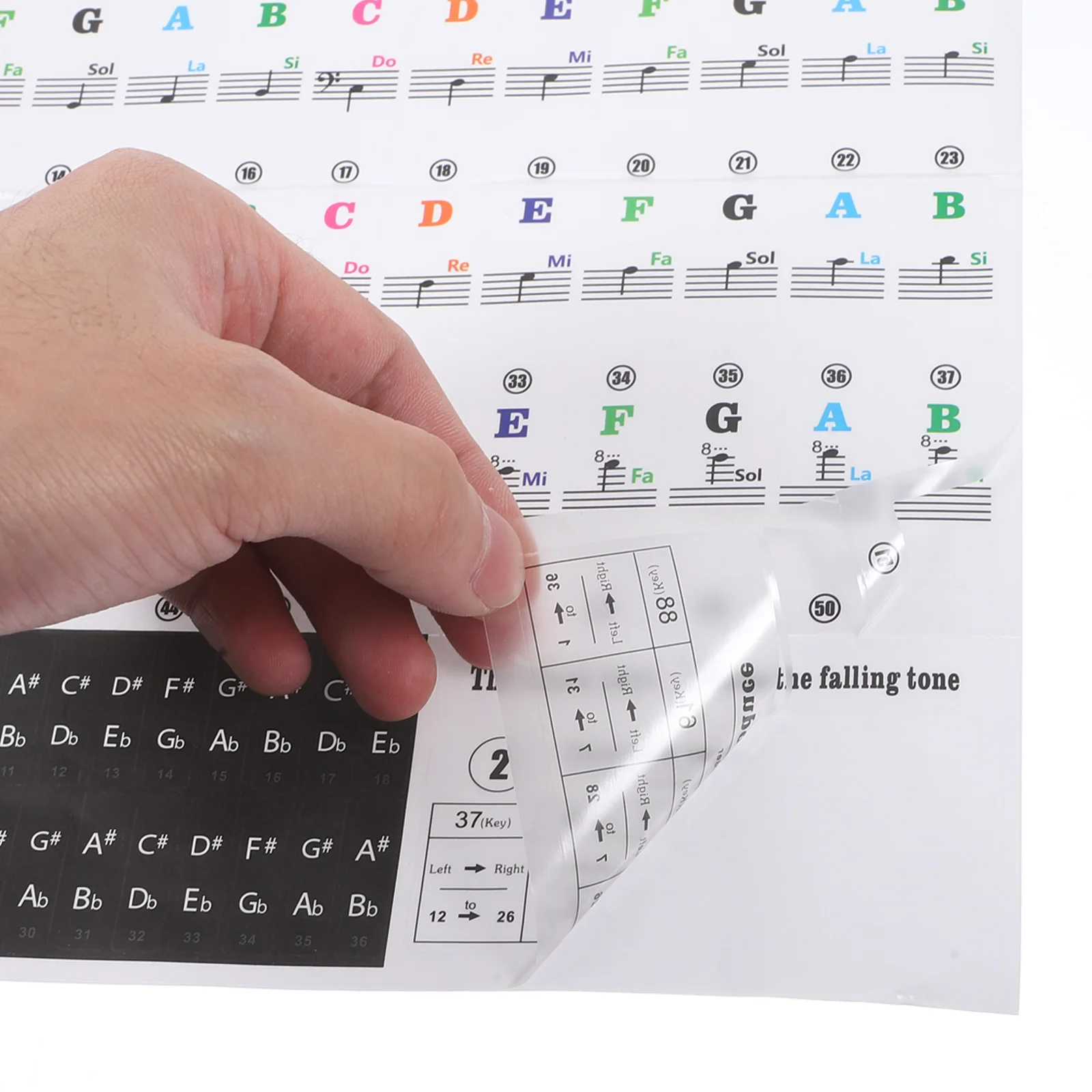 

Keyboard Piano Stickers Transparent Removable Note Labels Electronic Organ Notes Overlay for Kids