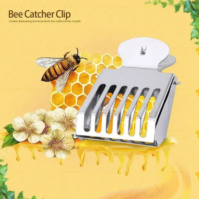 

5Pcs Stainless Steel Queen Bee Catcher Queen Bee Cage Beekeeping Tools Queen Bee Clip Isolation Room Insect Catcher Garden Tool