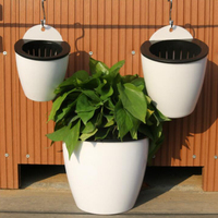 Wall-mounted Flowerpot Automatic Water Absorption Lazy Flower Pot Plastic Creative Plant Potted Green Pineapple Plant Basket