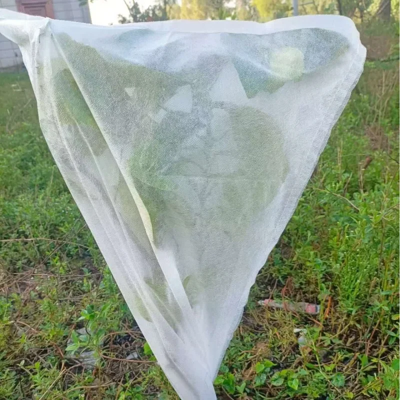 

Fruit Tree Antifreeze Cover Fruit Seedling Antifreeze Bag Vegetable Antifreeze Cloth Green Plants