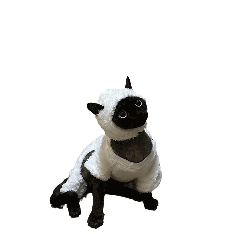 Variant: As pic