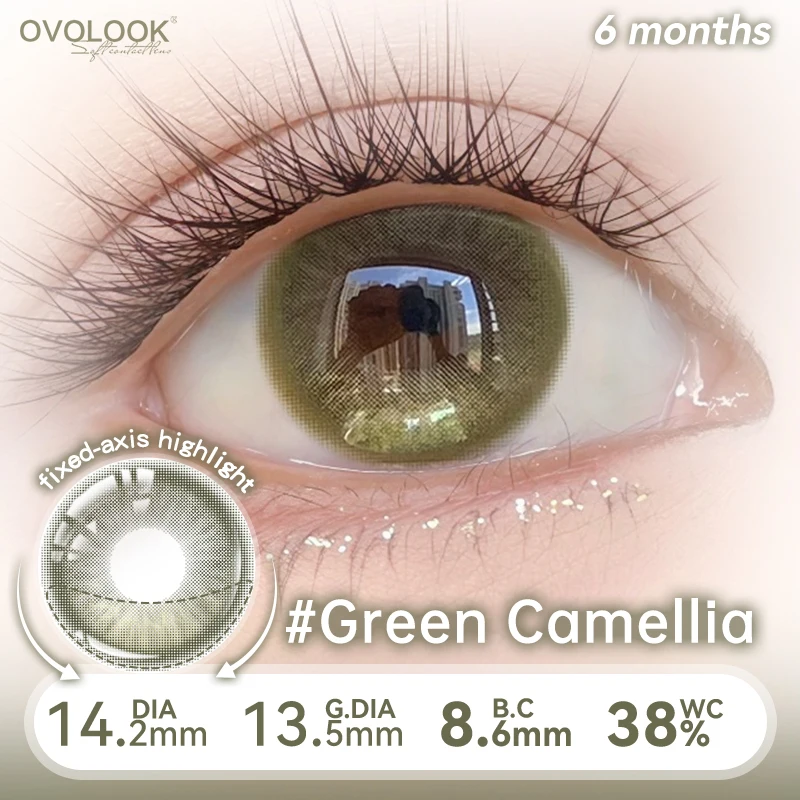 OVOLOOK Lenti a Contatto Colorate per Miopia a Diametro Fisso, Durata 6 Mesi, Verde Camelia, per Trucco Occhi Quotidiano alla Moda