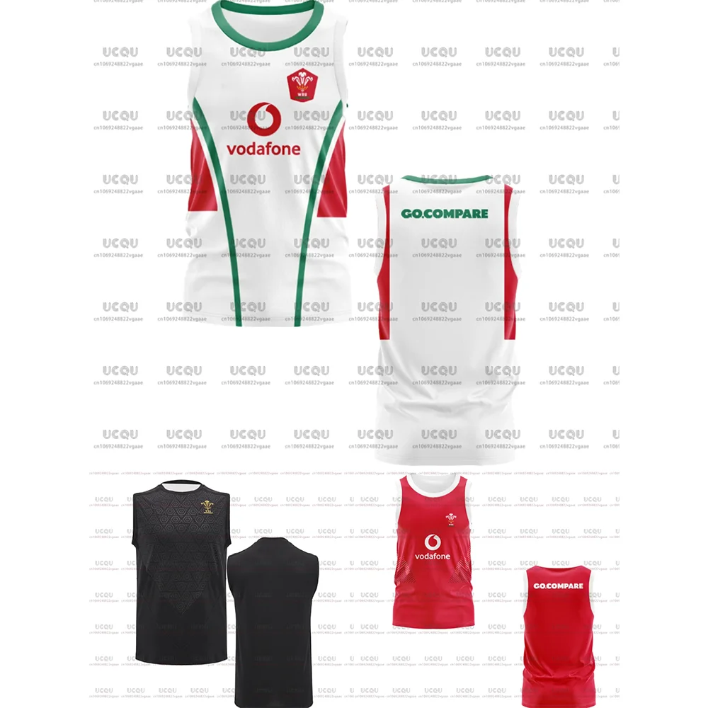2025 camiseta para niños, camiseta del equipo galés, pantalones cortos de Rugby, camiseta sin mangas, chaleco, camiseta de Rugby de regalo, ropa masculina, abrigo de secado rápido