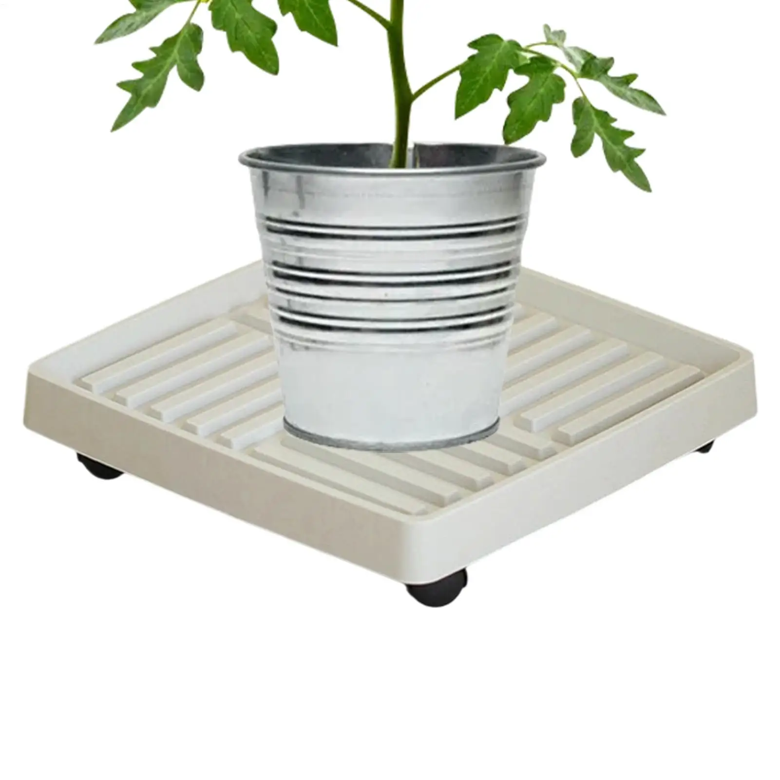 Thumbnail 4 - #24 Cheapest Garden Pot Saucers & Trays Deals You Can Get