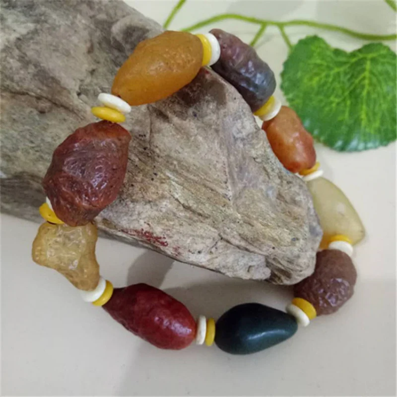 Xinjiang Alashan Gobi Raisin Agate with Shape Tendon Stone Bracelet