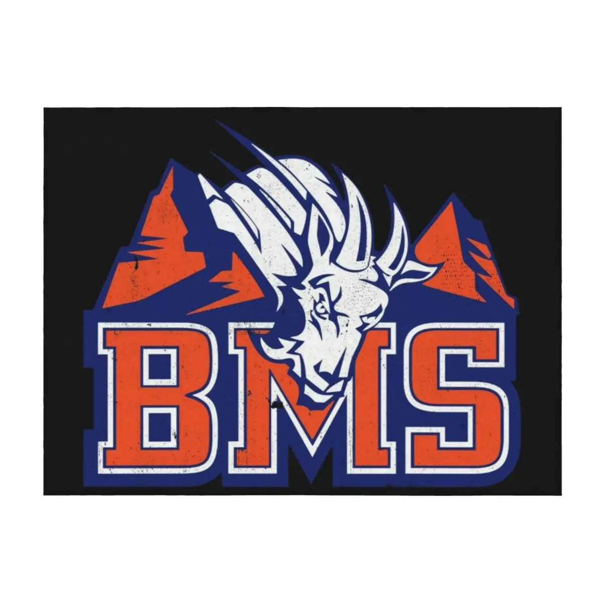 

BMS Blue Mountain State Throw Blanket Thins Soft Bed covers Custom Blankets