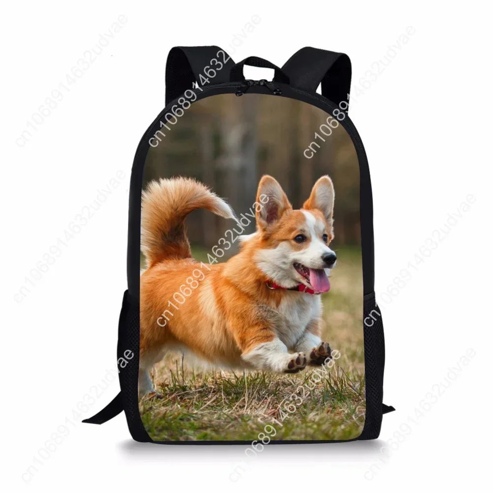 Mooie Dieren Welsh Corgi Pembroke Print Kinderen Schooltassen Orthopedische Rugzakken Kinderen Meisjes Jongens Schooltas 3d 2021