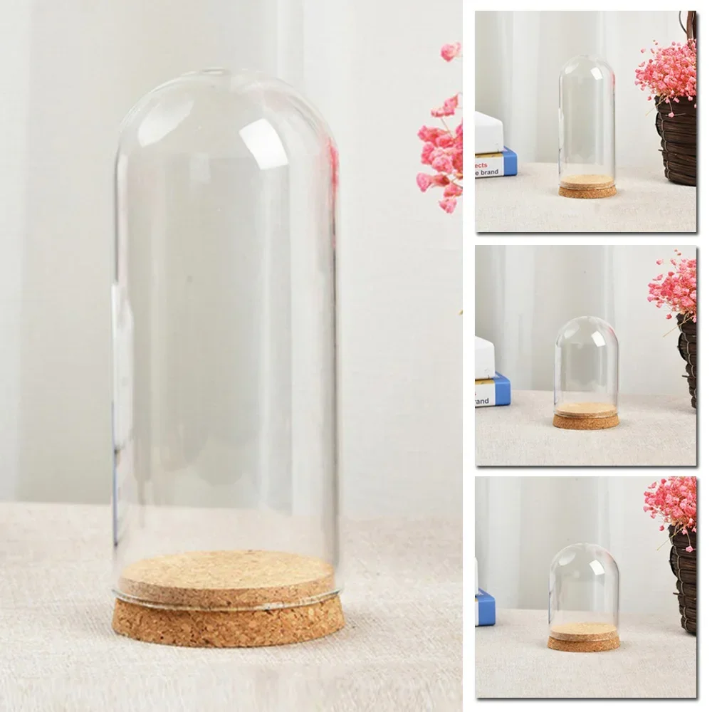 Clear Glass Hemisphere Cover Glass Dome Cover For Flower Succulent Plants Vase With Wood Cork Table Decor Dry Flower Decor