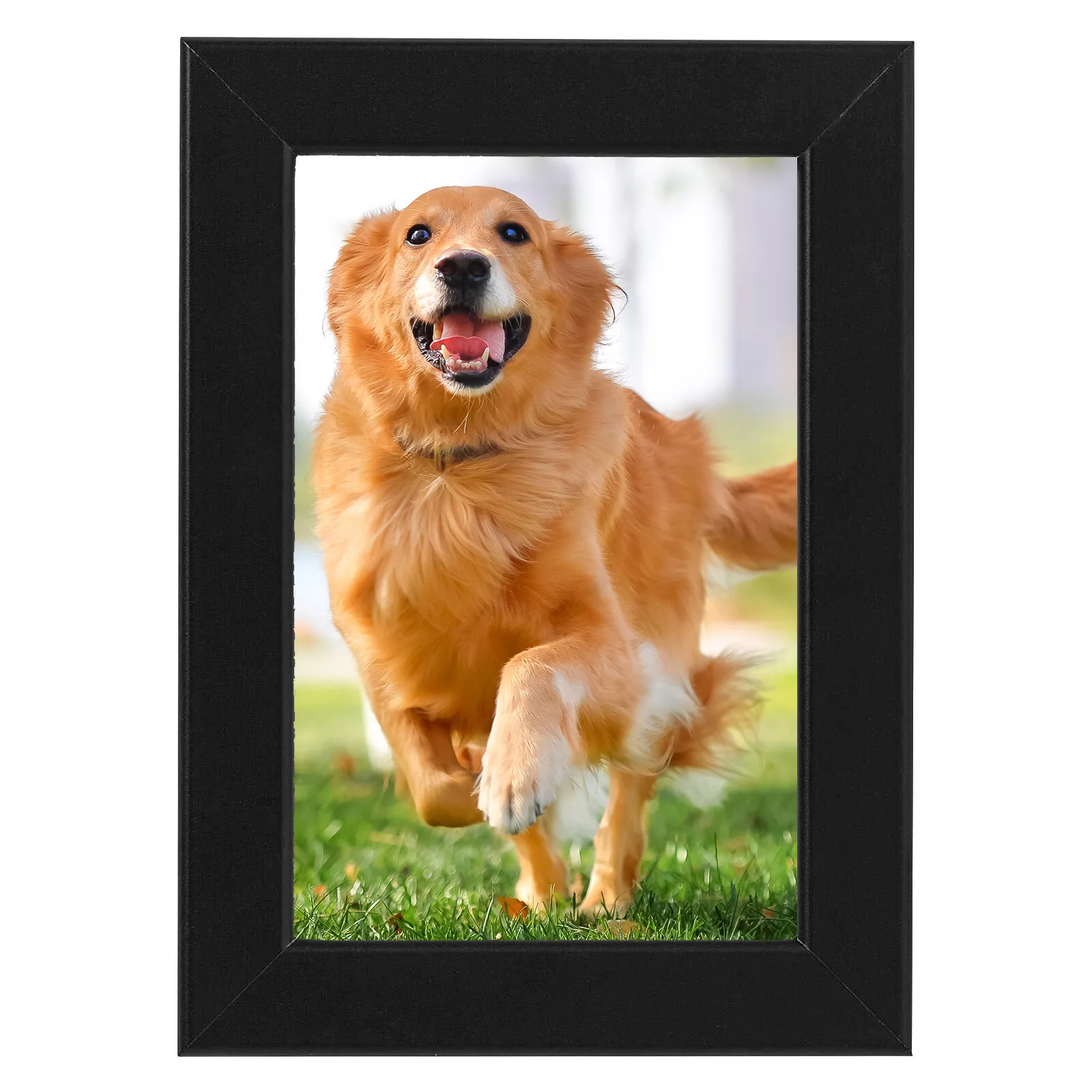 Photo Frame Picture Frame For Wall Or Table Top Plastic Poster Frame Rectangular 4*6 Inches Black Decorate Hom