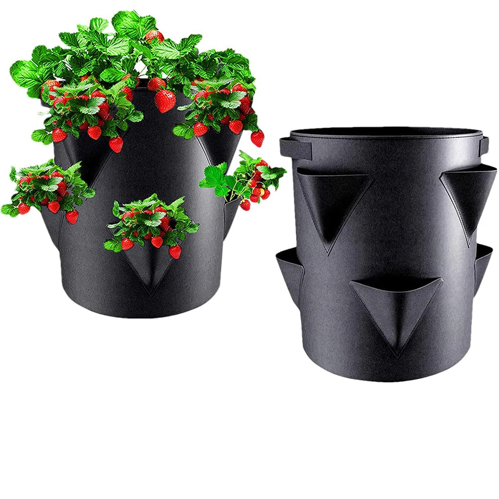 Healthier Reinforced Strawberry Grow Bag Kit